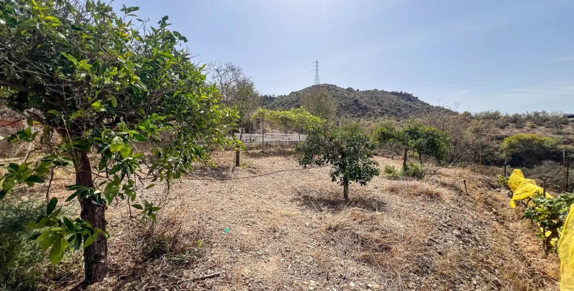 Sale of detached villa in Campanillas 22