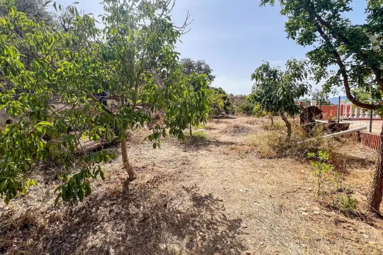 Image 18 thumb