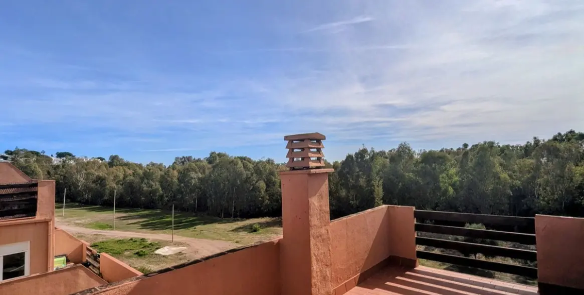 Sale of penthouse duplex in Casares 9