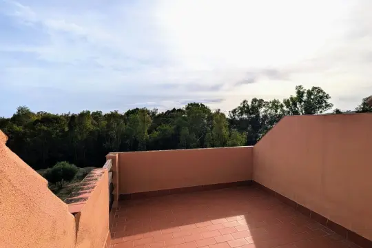 Image 12 thumb