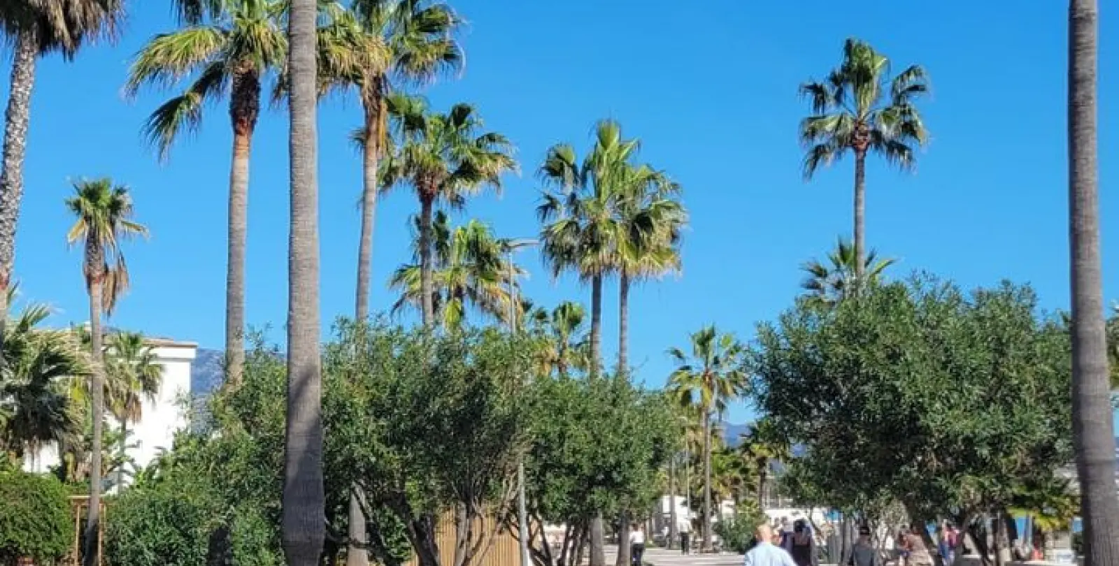 Продажа апартаментов на среднем этаже в Puerto Banús 26