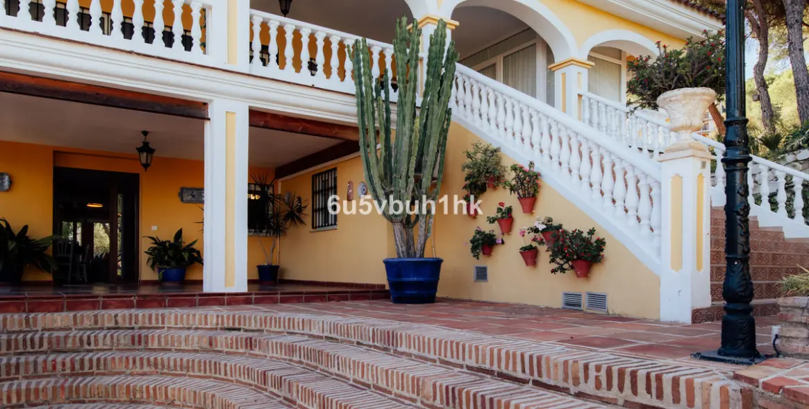 Sale of detached villa in Pinos de Alhaurin 10