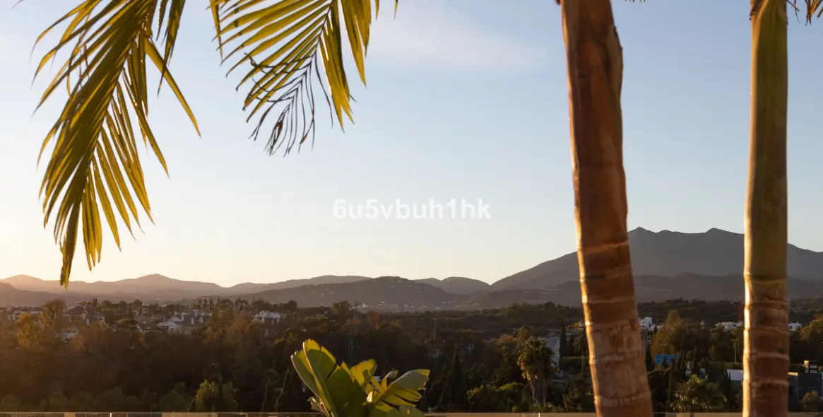 Sale of detached villa in Golden Mile 15