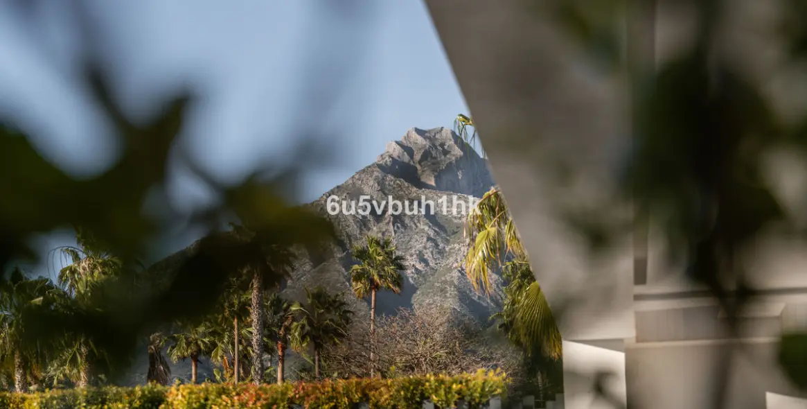 Sale of detached villa in Golden Mile 45