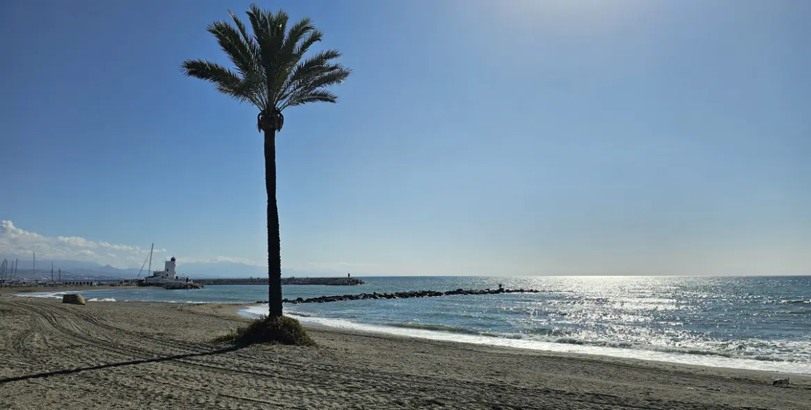 Продажа пентхауса в La Duquesa 41