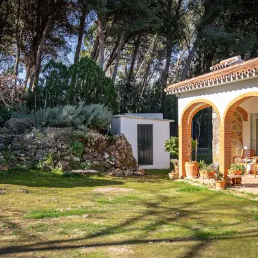 Venta de finca - cortijo en Alhaurín el Grande