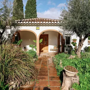 Venta de finca - cortijo en Alhaurín el Grande