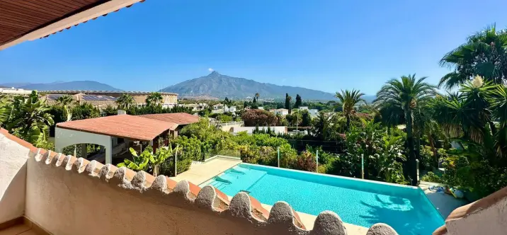 Venta de villa independiente en Nueva Andalucía 1