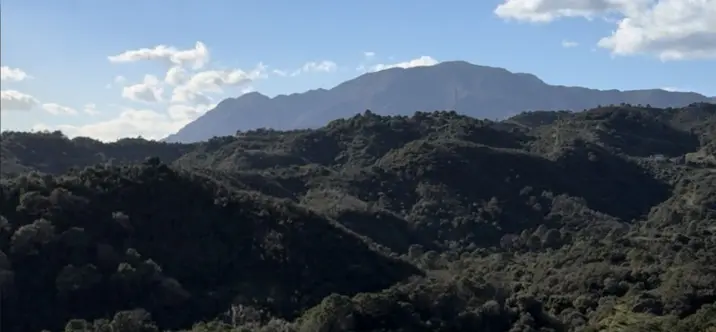 Sale of middle floor apartment in Selwo 2