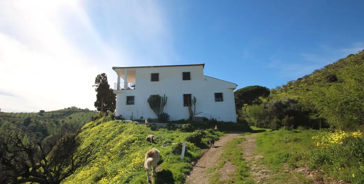 Venta de finca - cortijo en Almogía 2