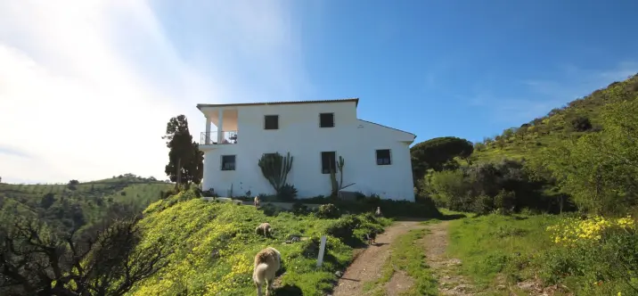 Venta de finca - cortijo en Almogía 1