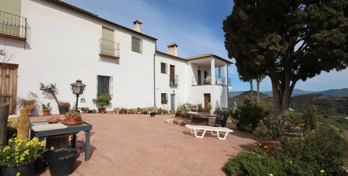 Venta de finca - cortijo en Almogía 3