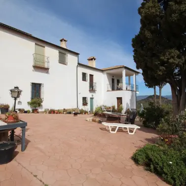 Venta de finca - cortijo en Almogía