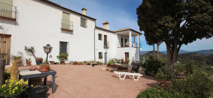 Venta de finca - cortijo en Almogía 2