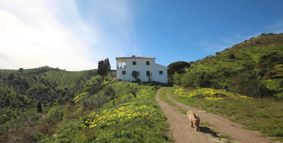 Venta de finca - cortijo en Almogía 4