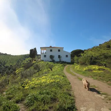 Venta de finca - cortijo en Almogía