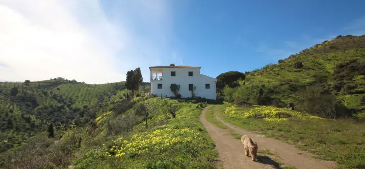 Venta de finca - cortijo en Almogía 3