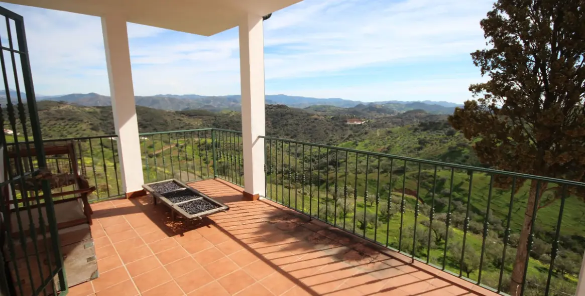 Venta de finca - cortijo en Almogía 5