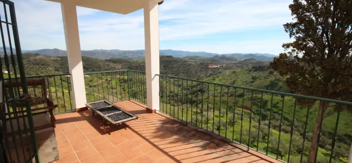 Venta de finca - cortijo en Almogía 4