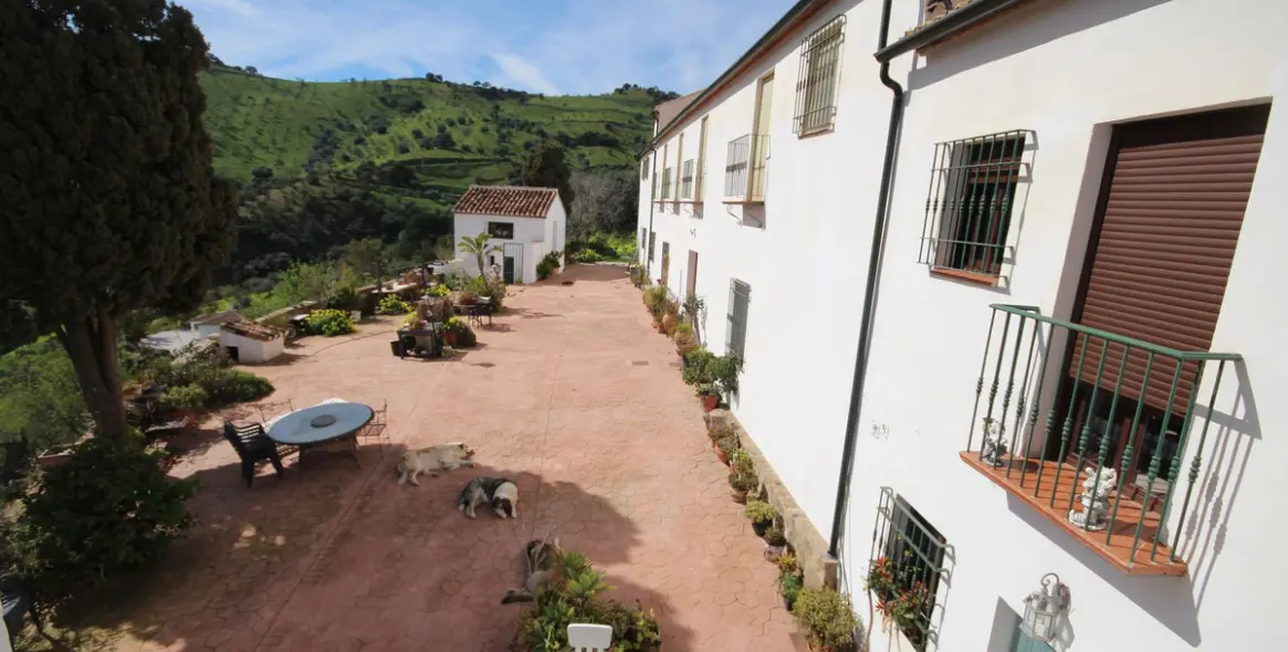 Venta de finca - cortijo en Almogía 6