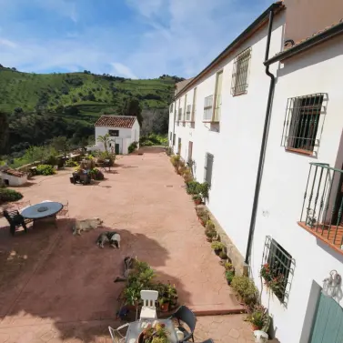 Venta de finca - cortijo en Almogía