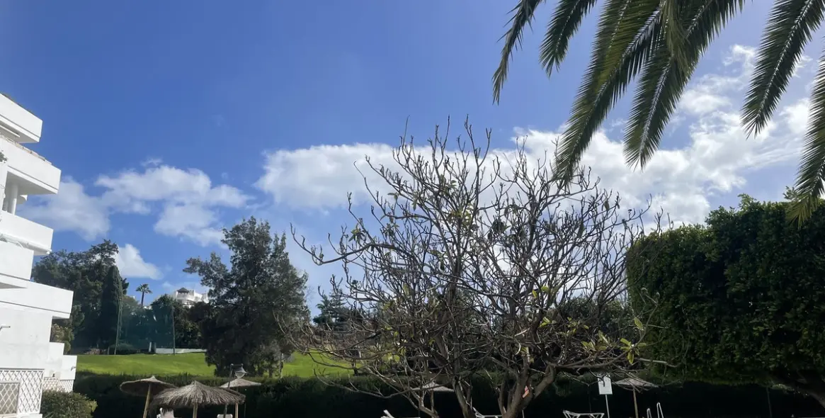 Sale of middle floor apartment in San Pedro de Alcántara 9