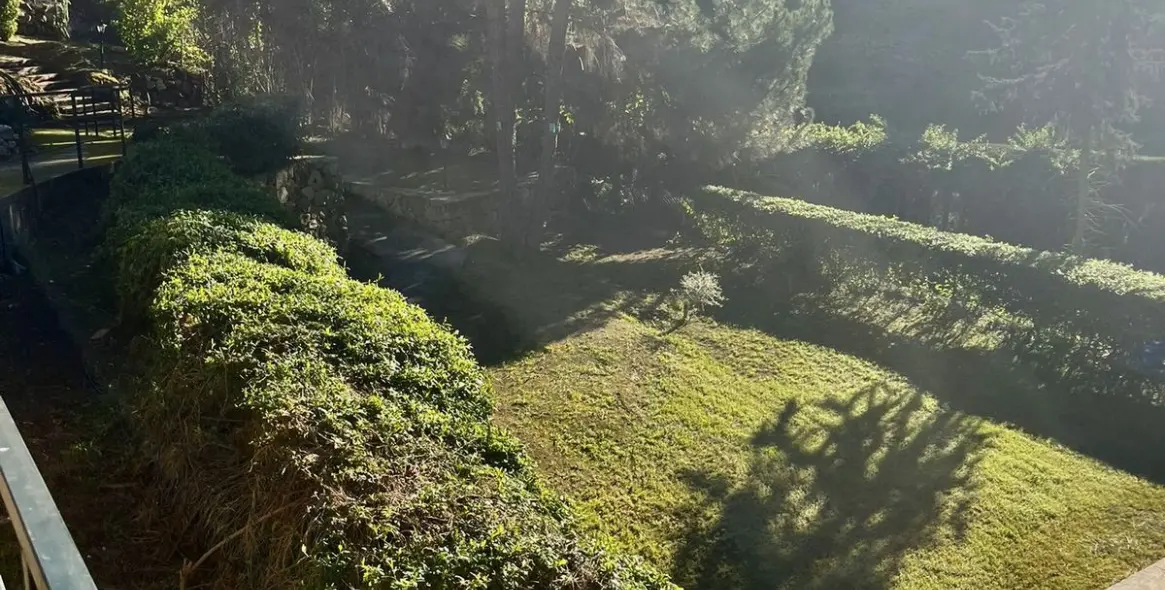 Sale of detached villa in Calahonda 45