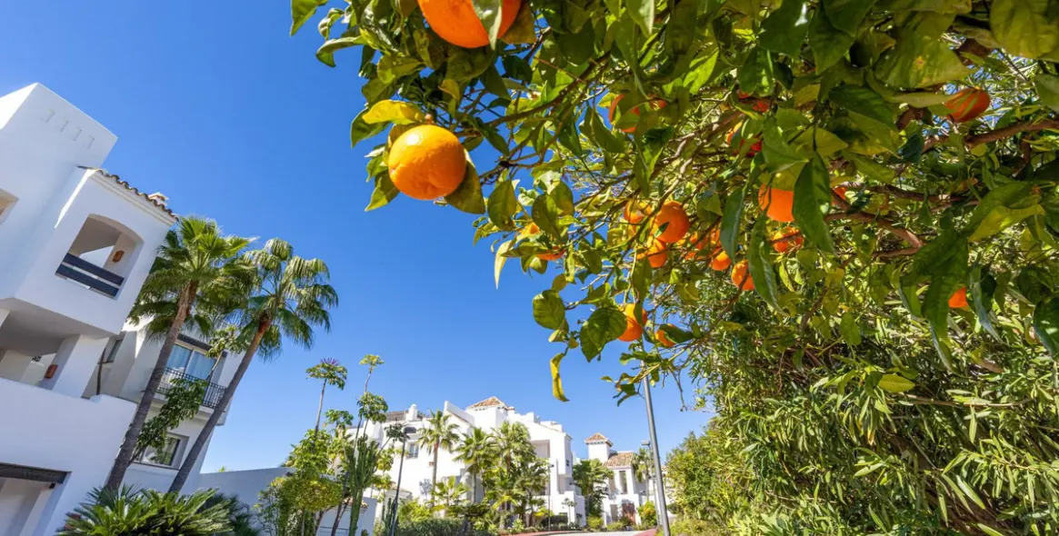 Продажа двухуровневого пентхауса в Benahavís 50