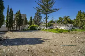 Image 8 thumb