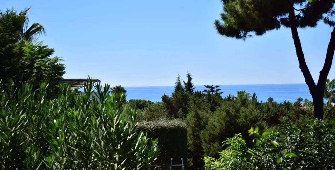 Sale of detached villa in Marbesa 2