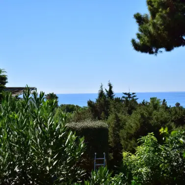 Sale of detached villa in Marbesa