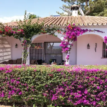 Sale of detached villa in Marbesa