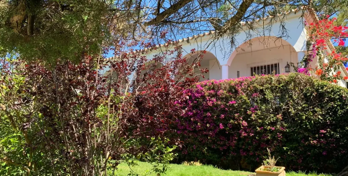 Sale of detached villa in Marbesa 4