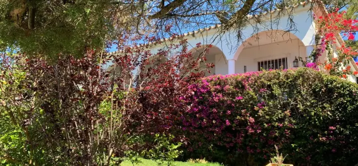 Sale of detached villa in Marbesa 3