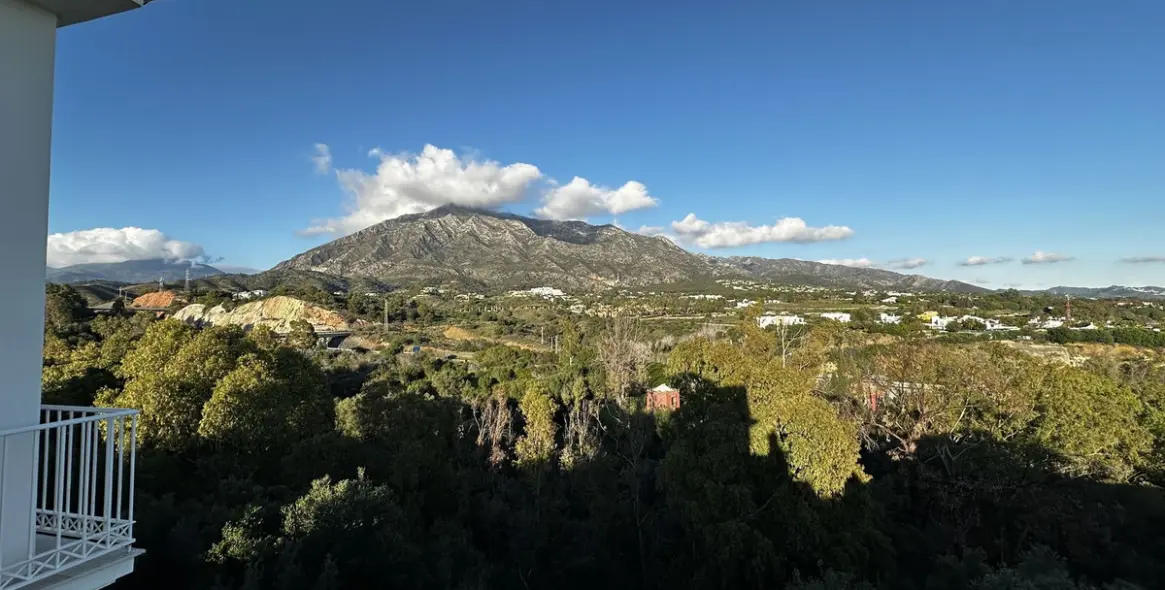 Long-term rent of detached villa in The Golden Mile 18