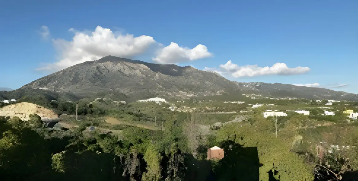 Долгосрочная аренда  отдельно стоящей виллы в The Golden Mile 31