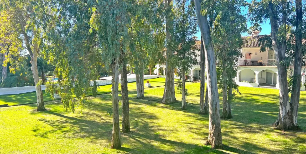 Long-term rent of middle floor apartment in Marbella 12