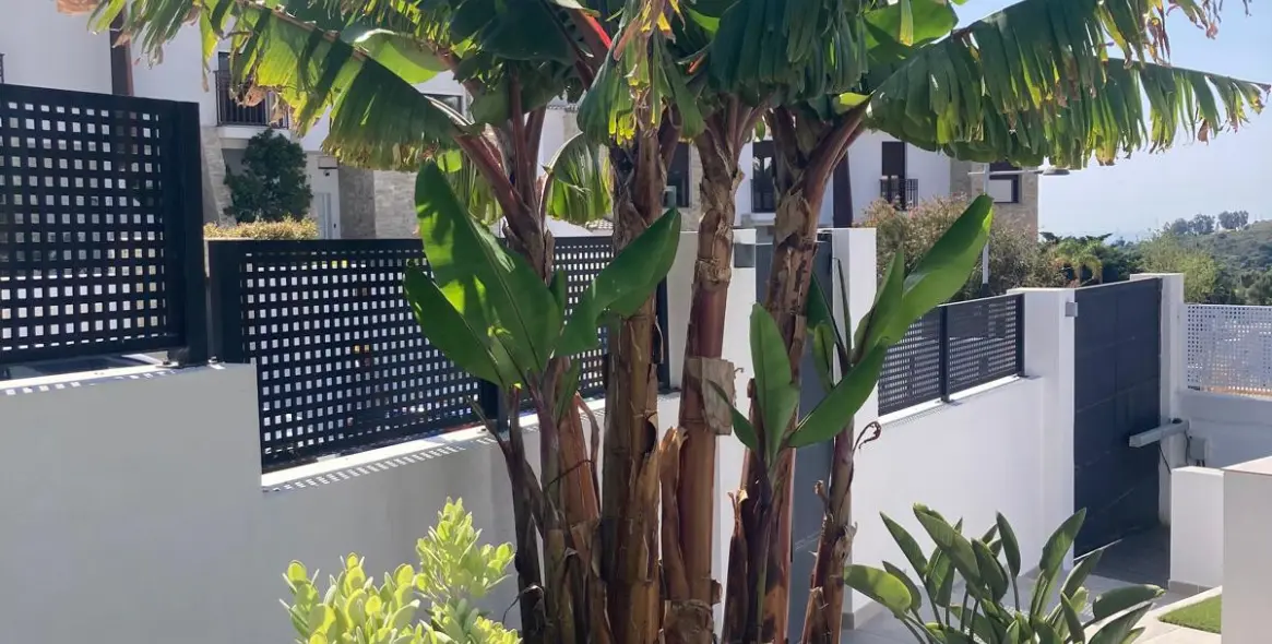 Sale of detached villa in Valle Romano 30