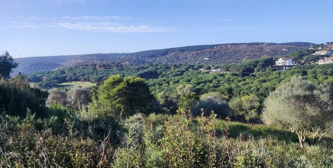 Venta de parcela residencial en Sotogrande 1