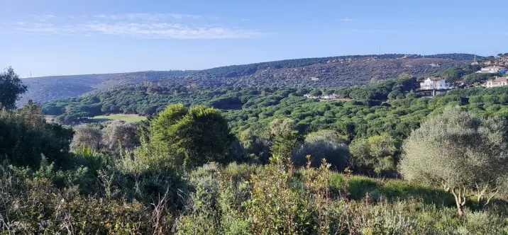 Venta de parcela residencial en Sotogrande 0