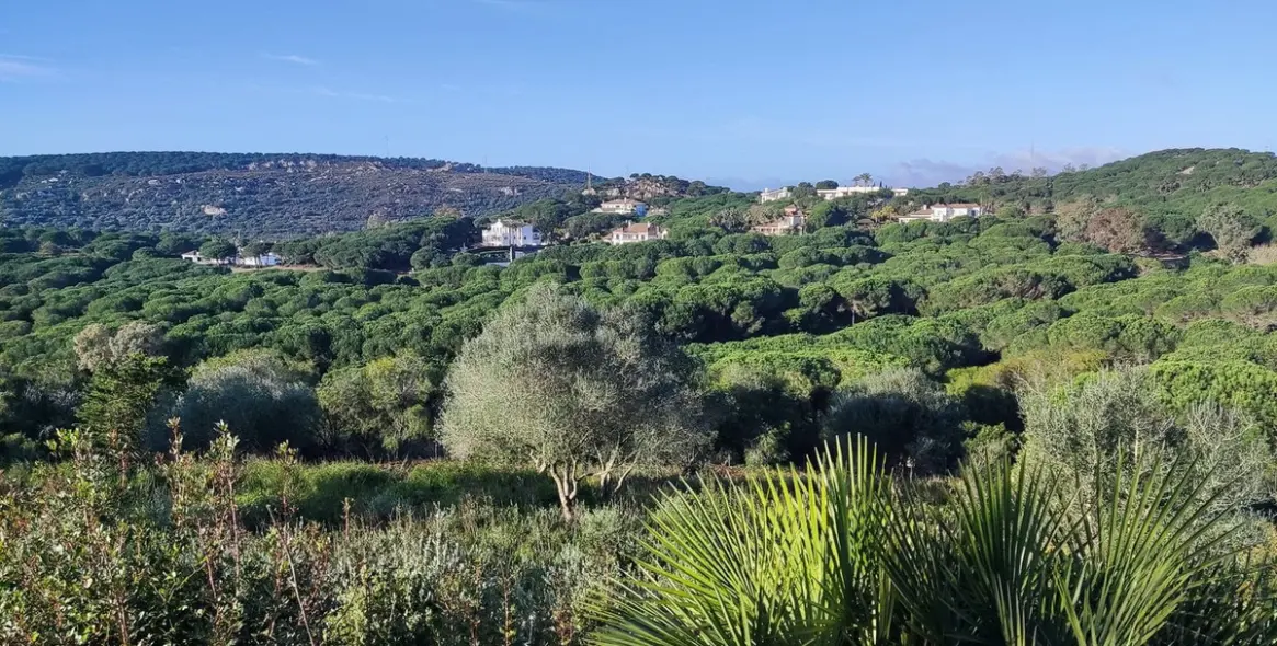 Venta de parcela residencial en Sotogrande 2