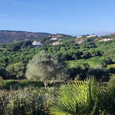 Venta de parcela residencial en Sotogrande