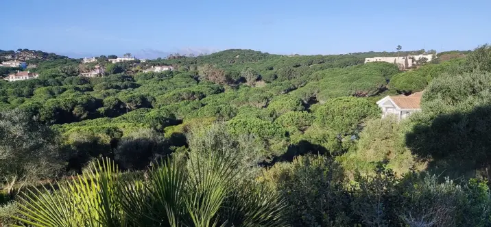 Venta de parcela residencial en Sotogrande 2