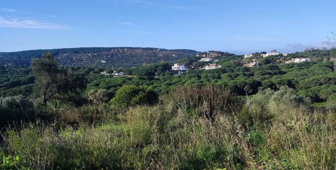 Venta de parcela residencial en Sotogrande 4