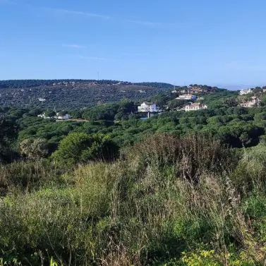 Venta de parcela residencial en Sotogrande