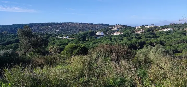 Venta de parcela residencial en Sotogrande 3