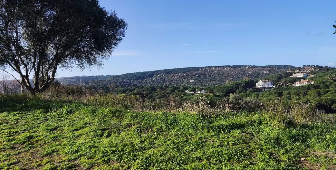 Venta de parcela residencial en Sotogrande 5