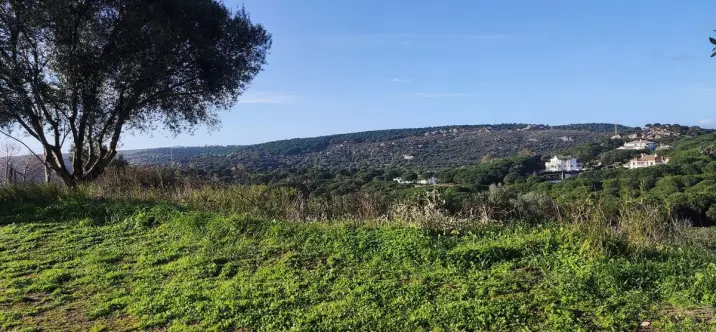 Venta de parcela residencial en Sotogrande 4