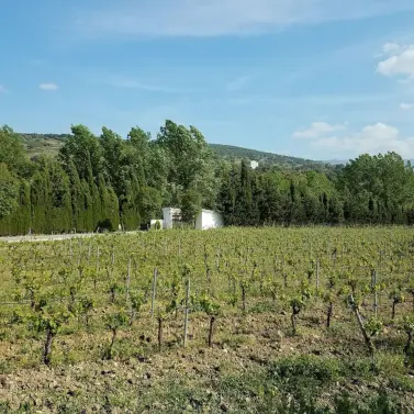 Venta de hotel en Ronda