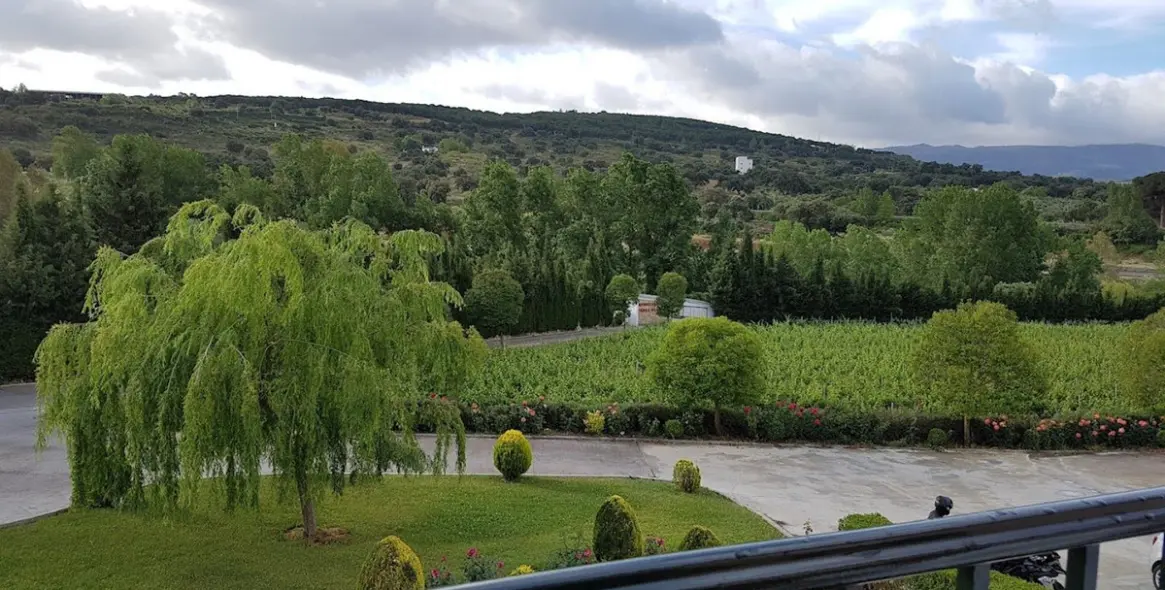 Venta de hotel en Ronda 14